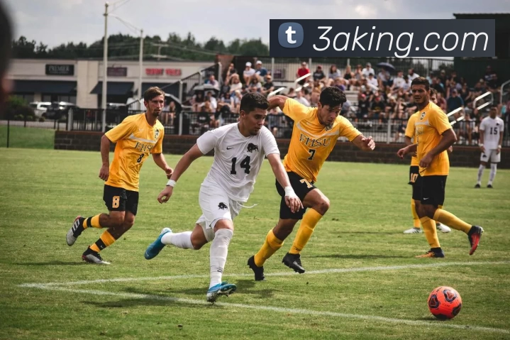 3a娱乐城官网服务体系